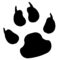 paw print, pawprint, dog
