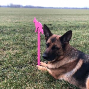 Marley met speurpaaltje