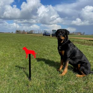 Scooby blij met zijn speurpaaltje.
