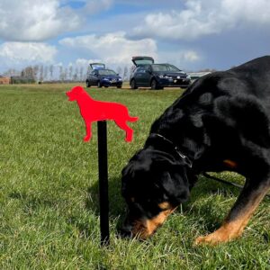 Scooby gaat mooi diep speuren.