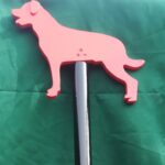 Speurpaal Rottweiler met oortjes