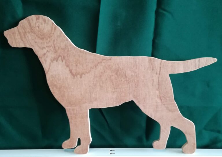 labrador