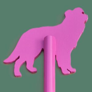 Speurpaal Border Collie